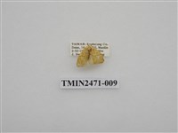 藏品(鉤弧紋豔苔蛾)的圖片